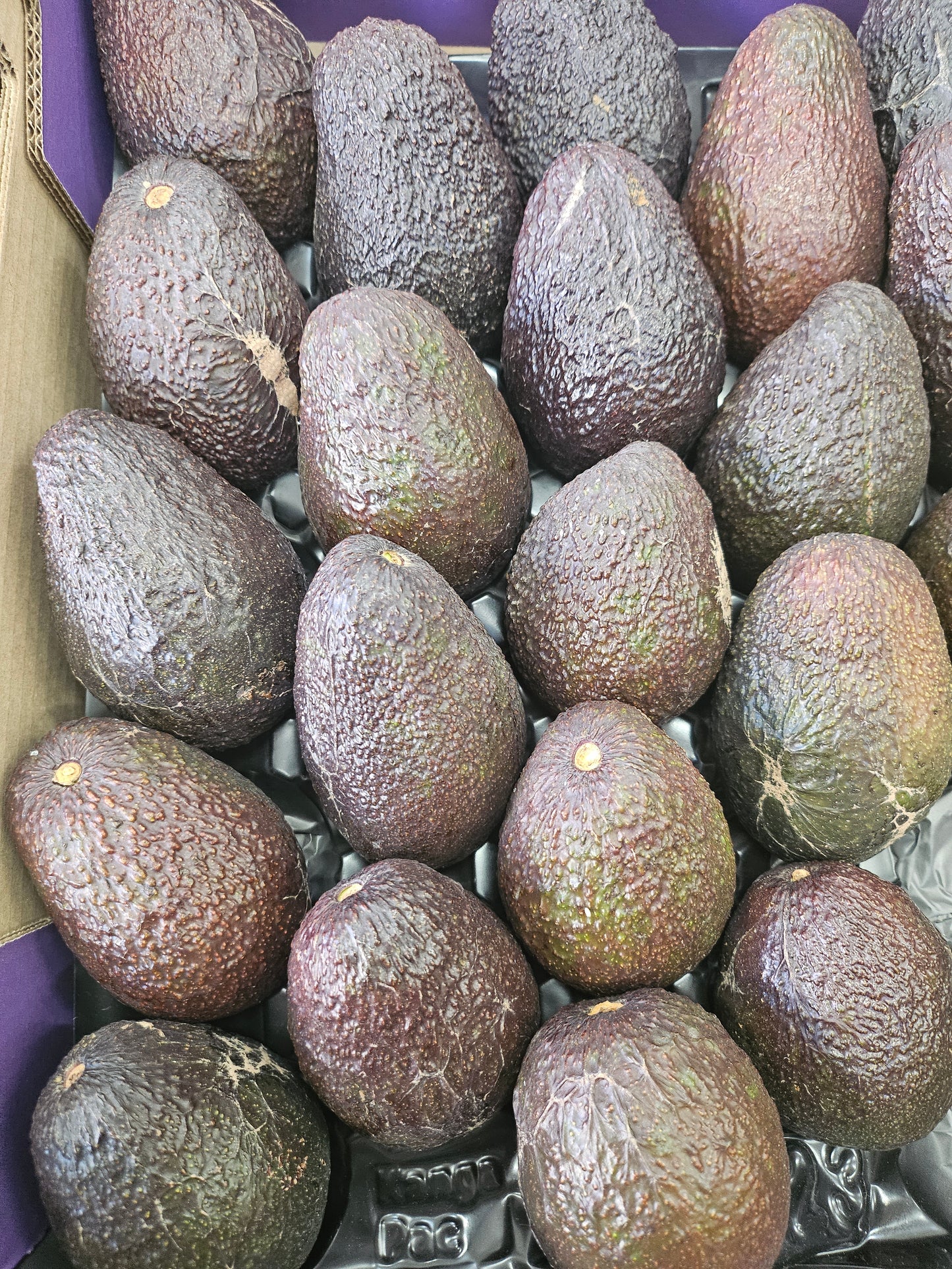 Avocado Tray