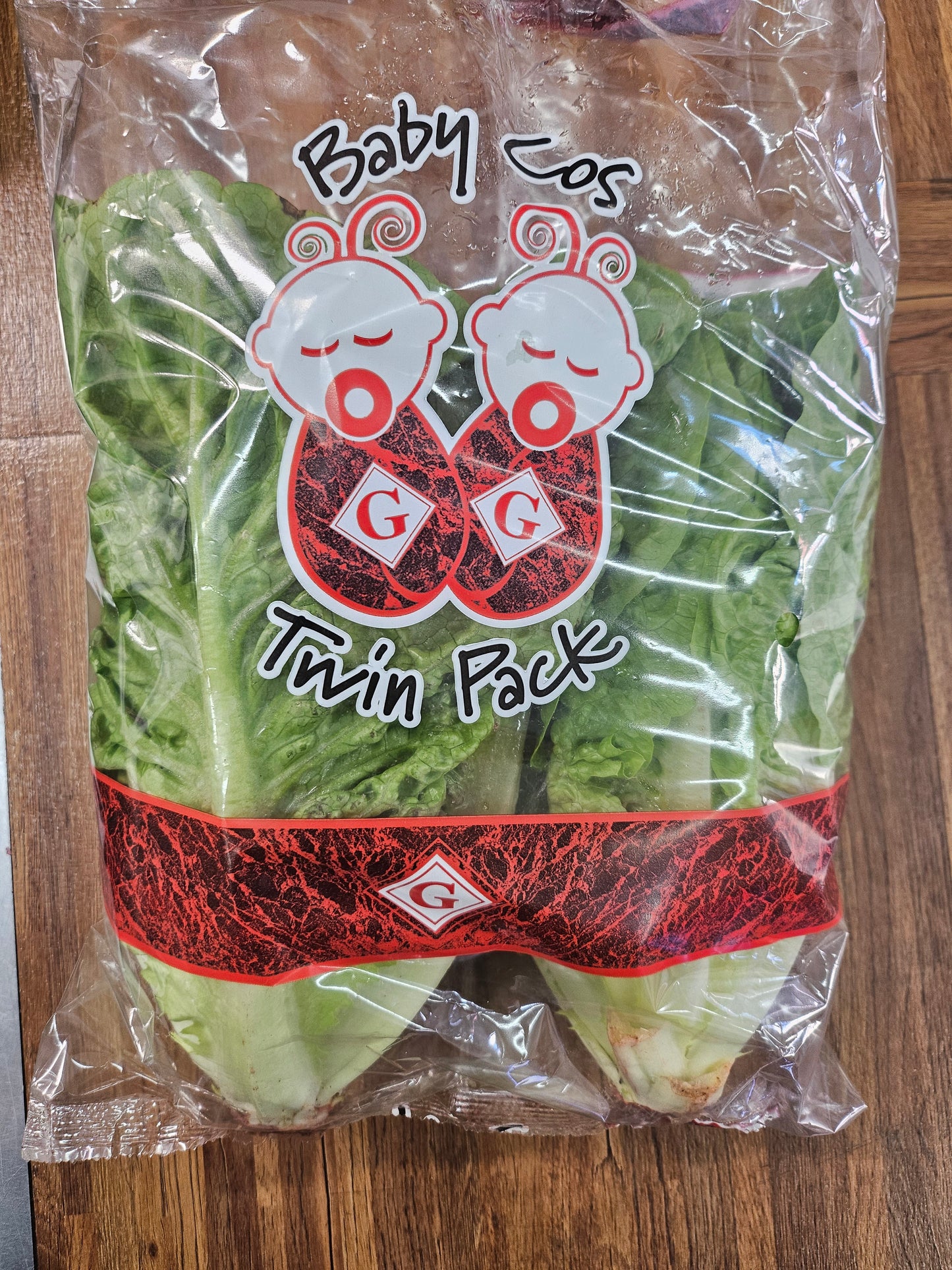 Baby cos Lettuce twin pack