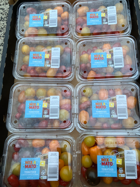 Heirloom Medley Tomato Tray 15 punnets