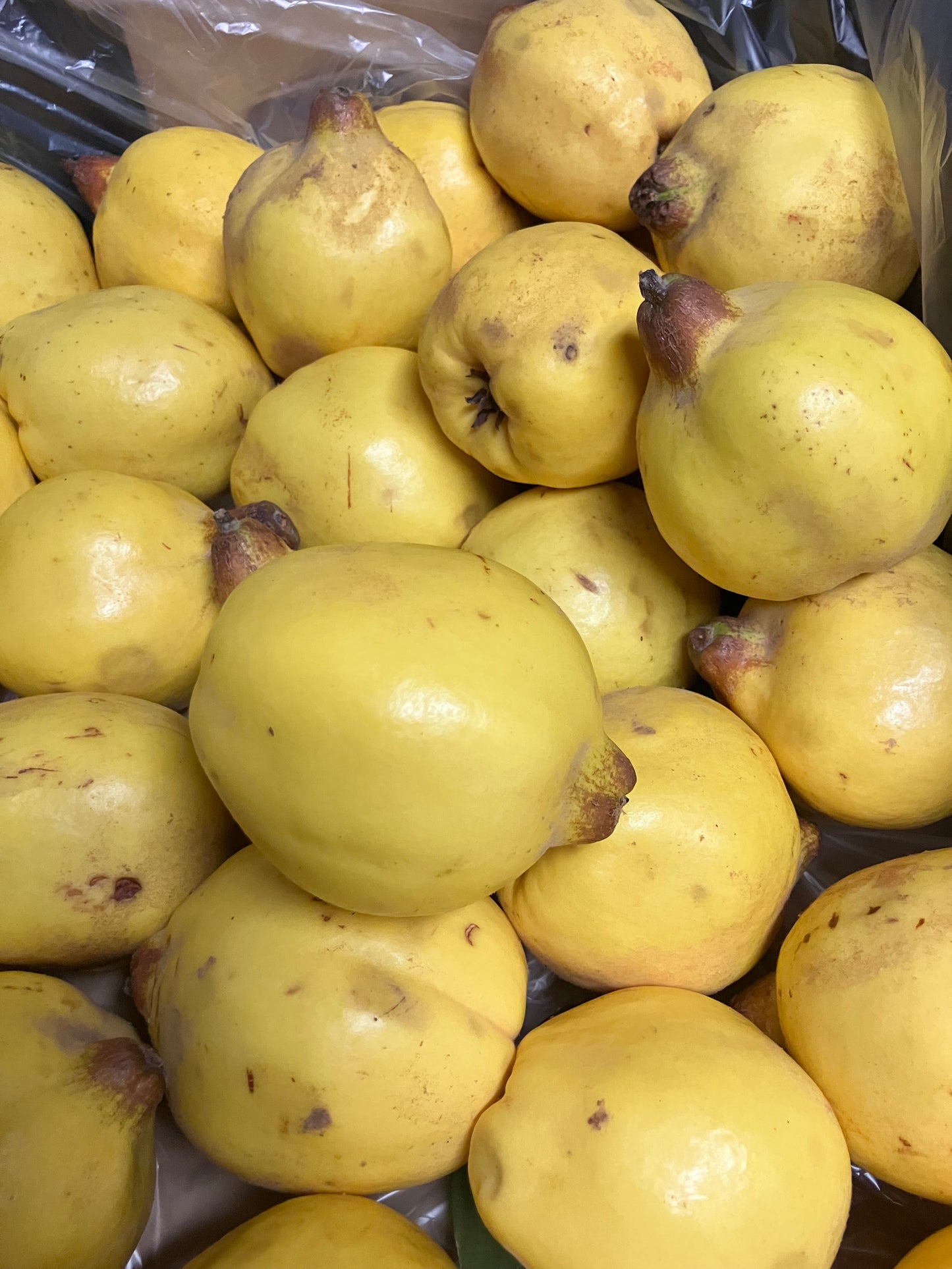 Quince 350 g