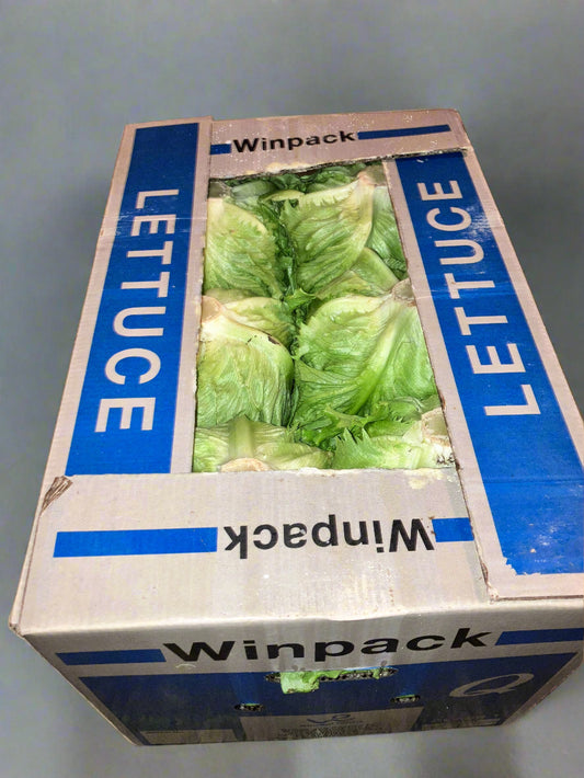 Iceberg lettuce box