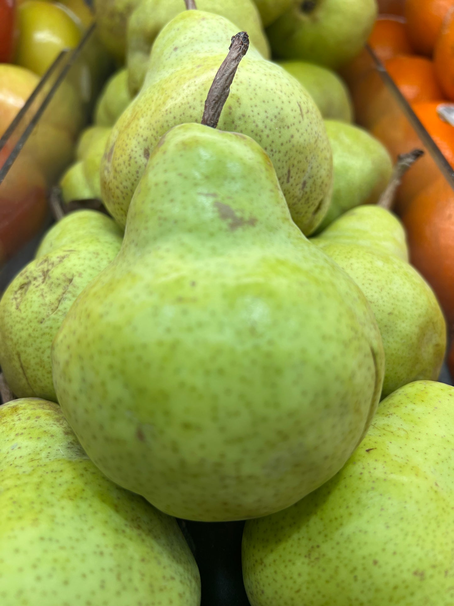 Packhem pear