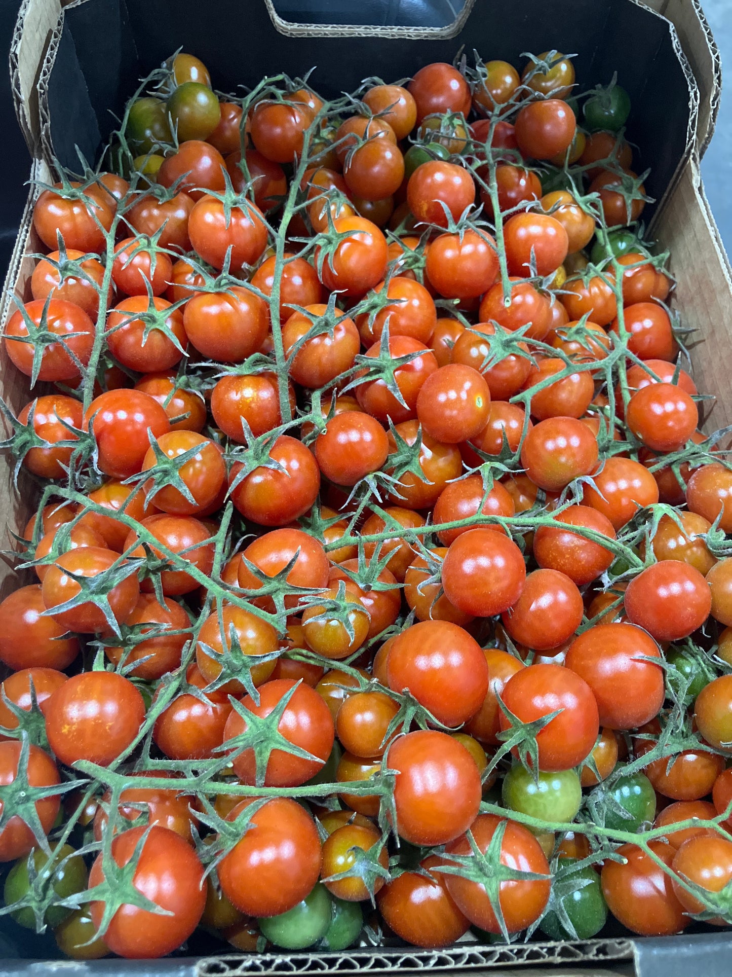 Cherry Truss Tomato punnet
