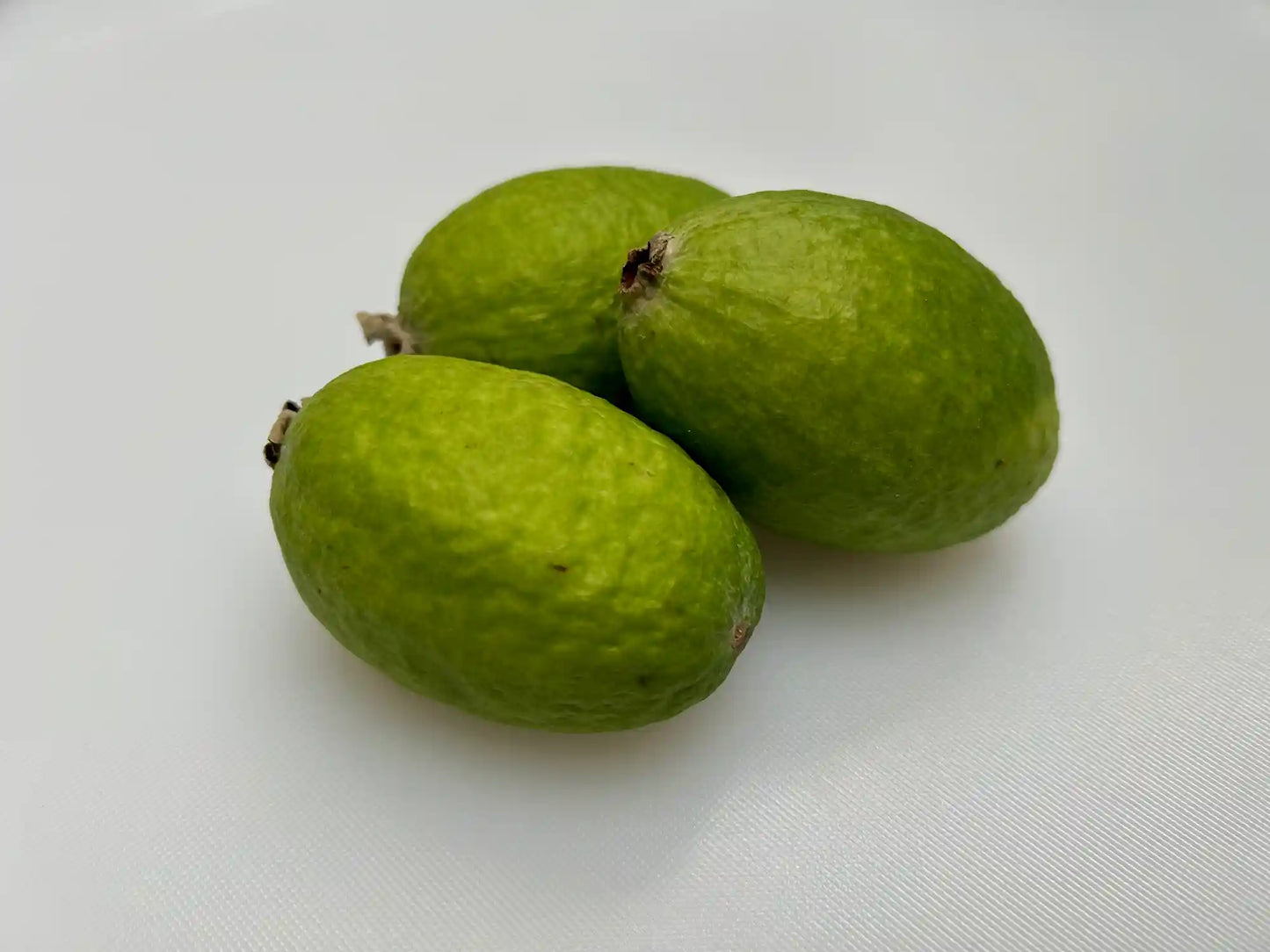 Feijoa 250G