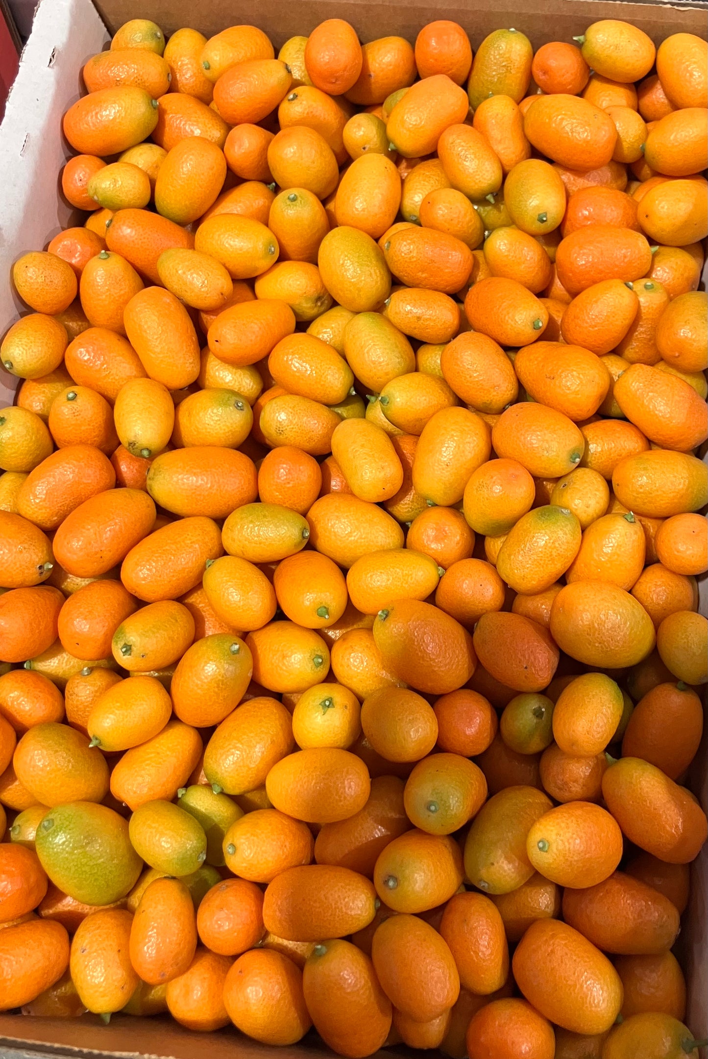 kumquat 250 g