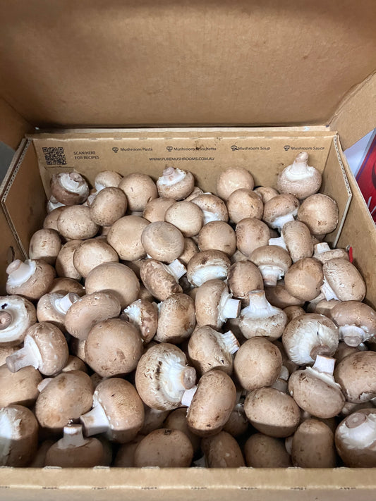 Swiss brown cup mushroom box  2kg