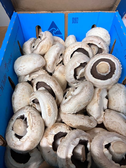 Flat mushroom 4 kg box