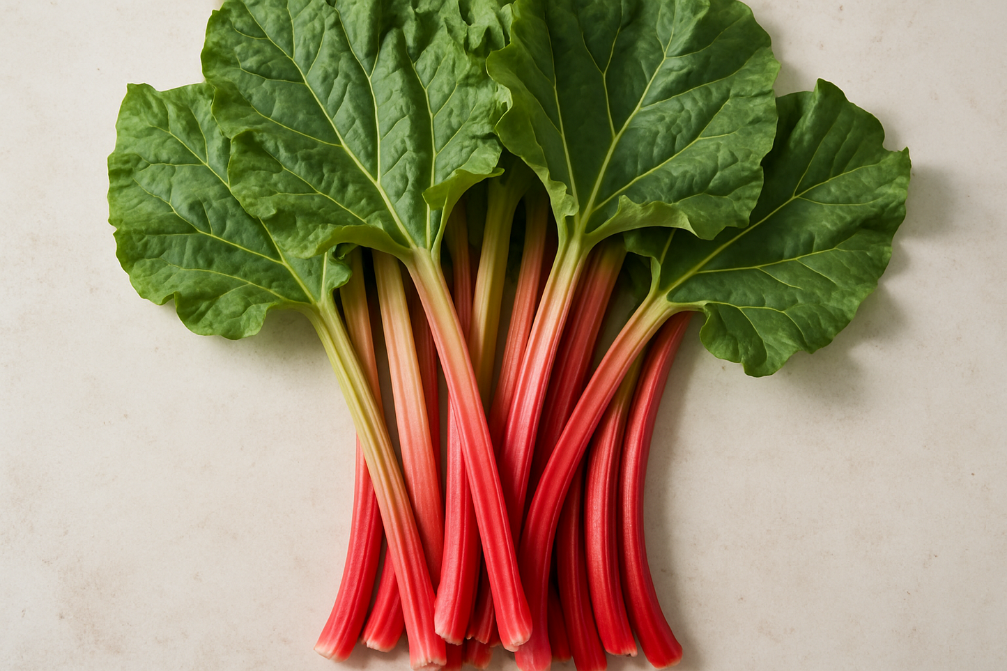 Rhubarb (each)