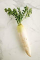 Daikon Radish
