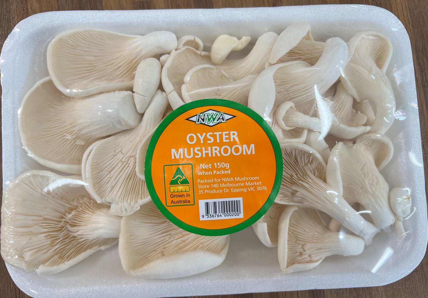 Oyster Mushroom