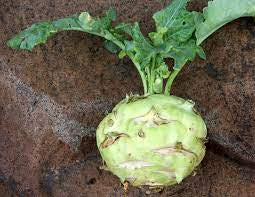 Kohlrabi each