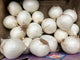 White onion approx 500g
