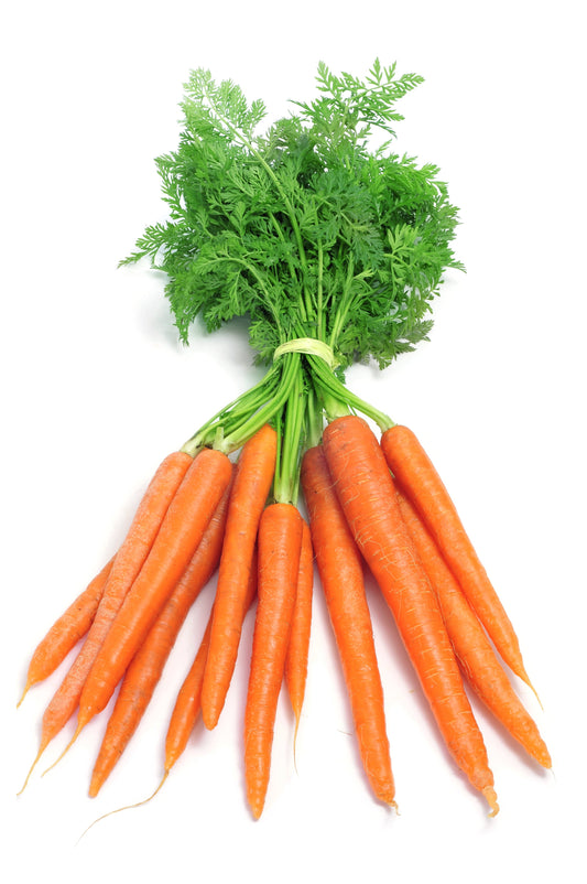 Dutch Carrot