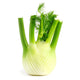 Fennel(1ea)
