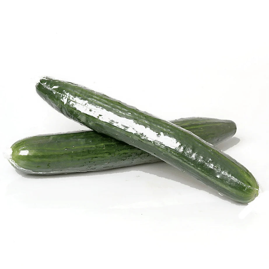 continental Cucumber(1ea)