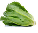 Cos Lettuce(1ea)