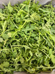 Roquette(100g)