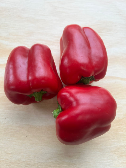 Red capsicum(500g)