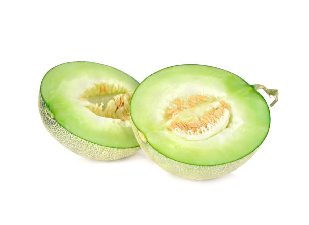 Honeydew Melon