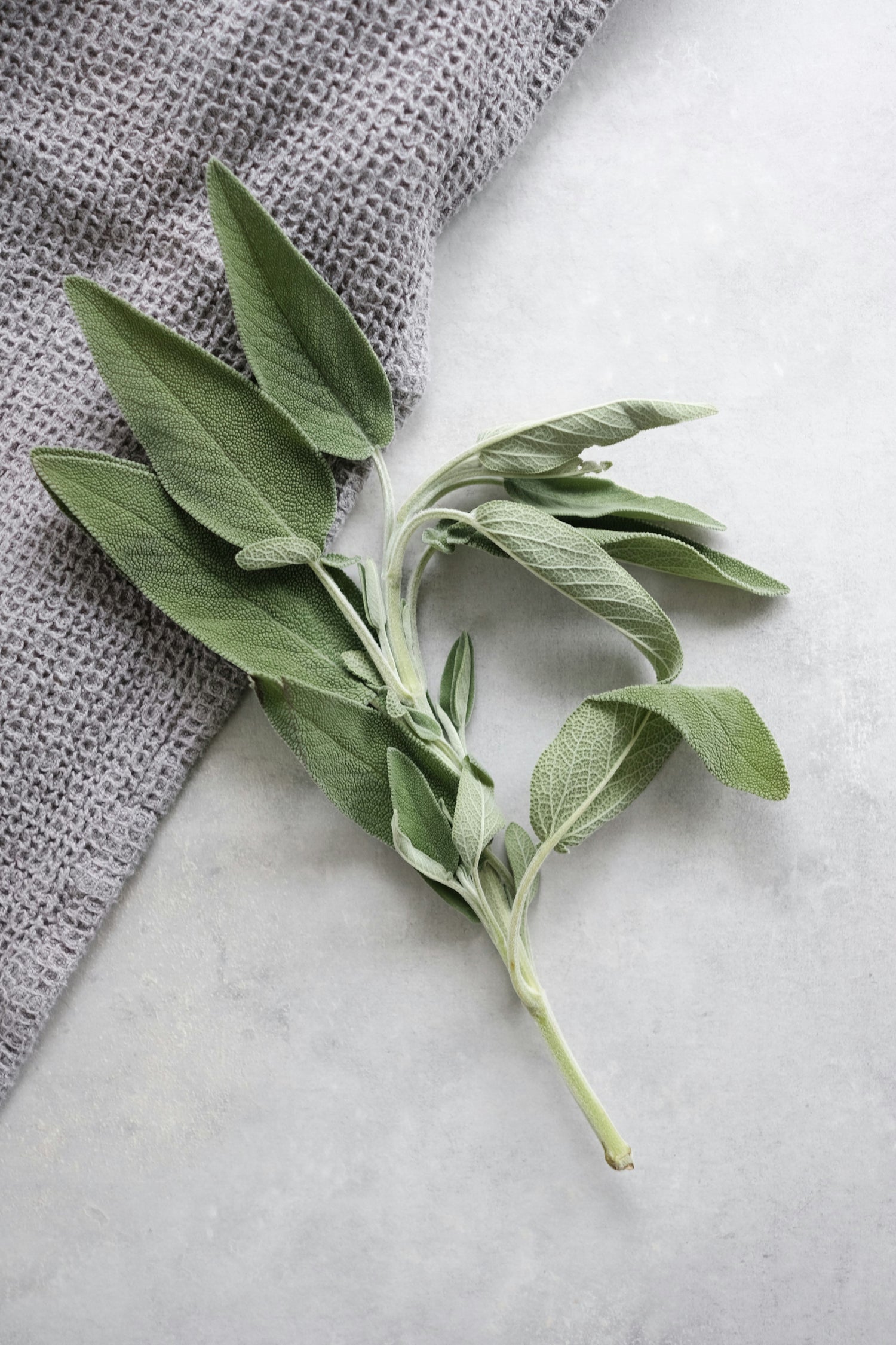Herbs