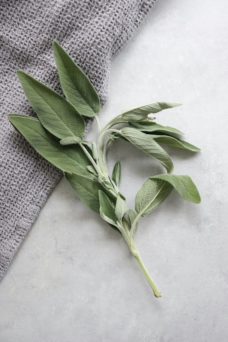 Herbs