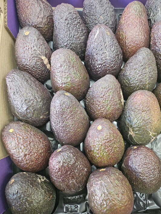 Avocado Tray
