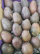 Avocado Tray