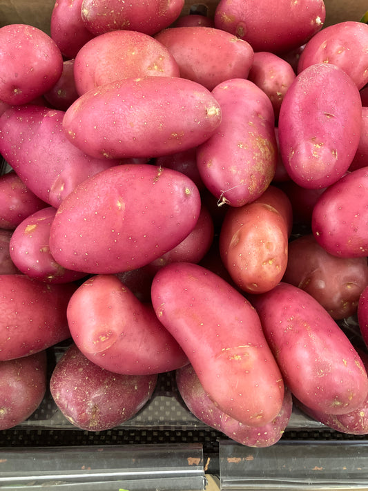 Red Desiree potato bag 15 kg Large