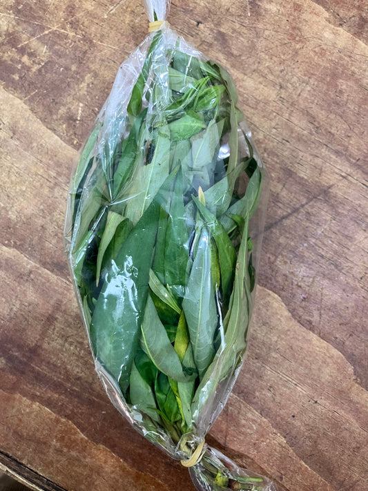 Vietnamese Mint