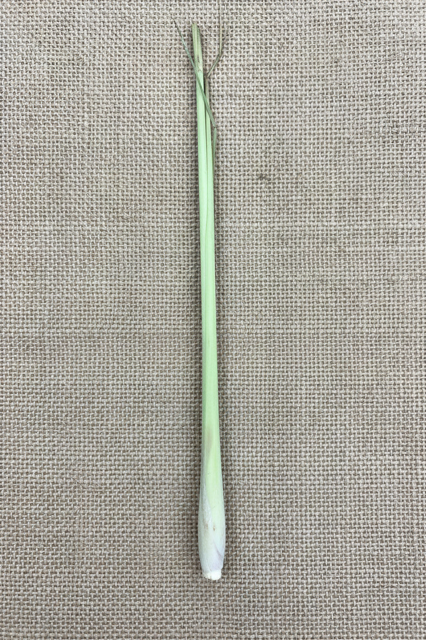 Lemongrass stick