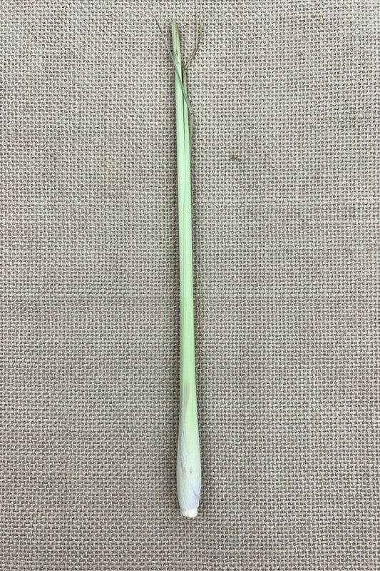 Lemongrass stick
