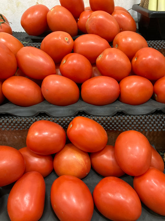 Roma Tomato Box 10kg