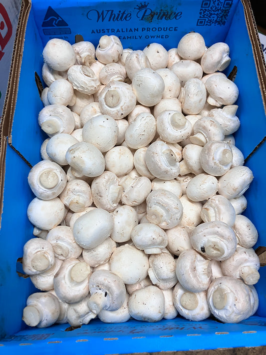 Button Mushroom box 4kg