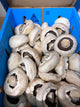 Flat mushroom 4 kg box