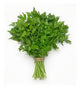 Parsley
