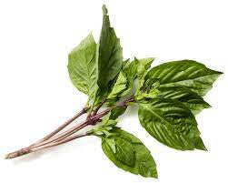 Thai basil bunch