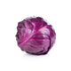 cabbage red whole