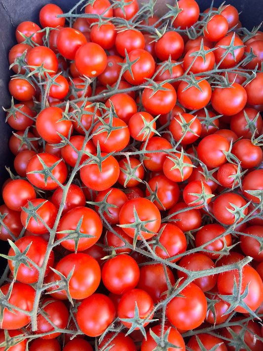 Cherry Truss Tomato punnet