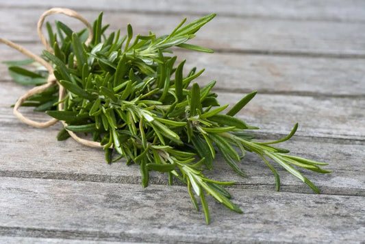 Rosemary bunch