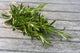 Rosemary bunch