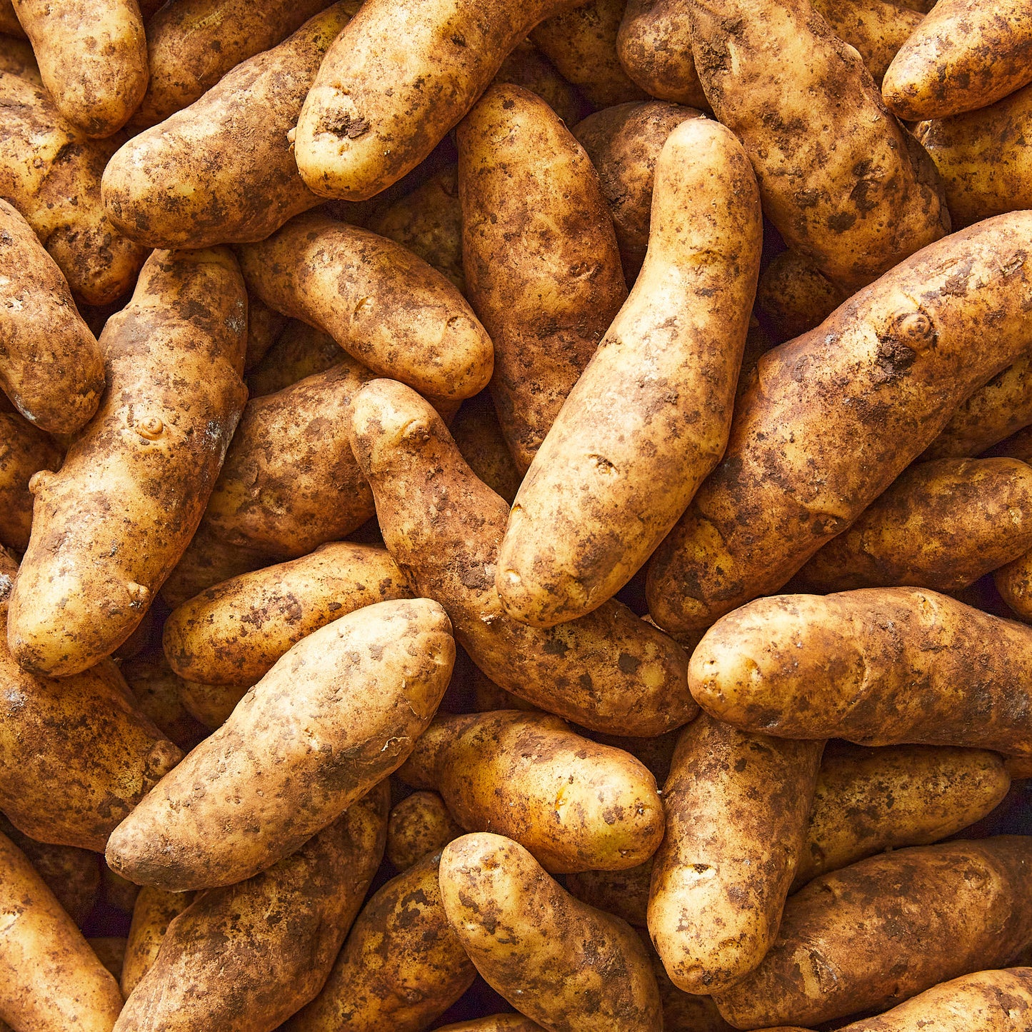 Brushed potatoes Kipfler (approx 500g)