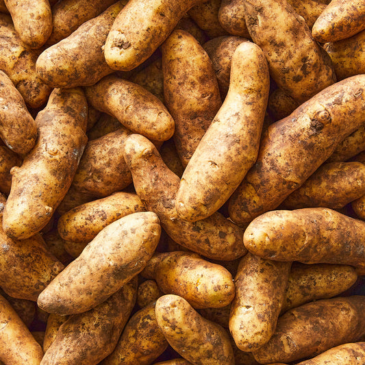 Brushed potatoes Kipfler (approx 500g)
