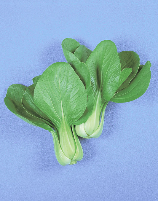 Bok Choy (1ea)