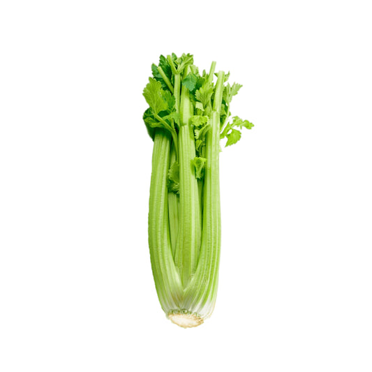 Celery(1ea)