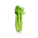 Celery(1ea)