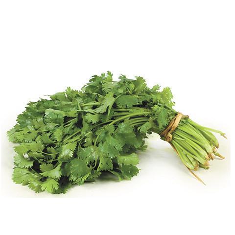 Coriander