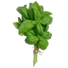 Basil- Each