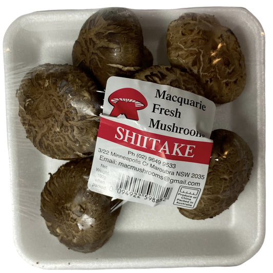 Mushroom Shitake